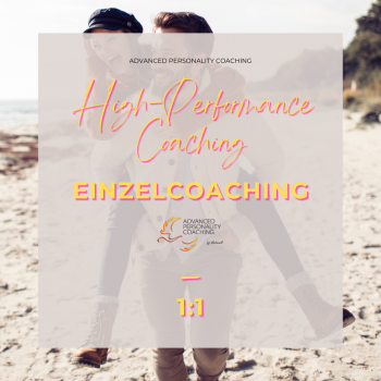 High-Performance Coaching 1:1 – Individuelles Einzelcoaching für Männer.